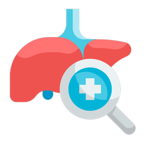Liver Support & Acid Reflux