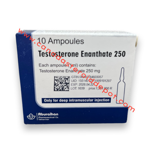 Testosterone enanthate 250