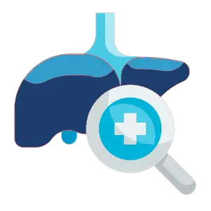LIVER SUPPORT & ACID REFLUX